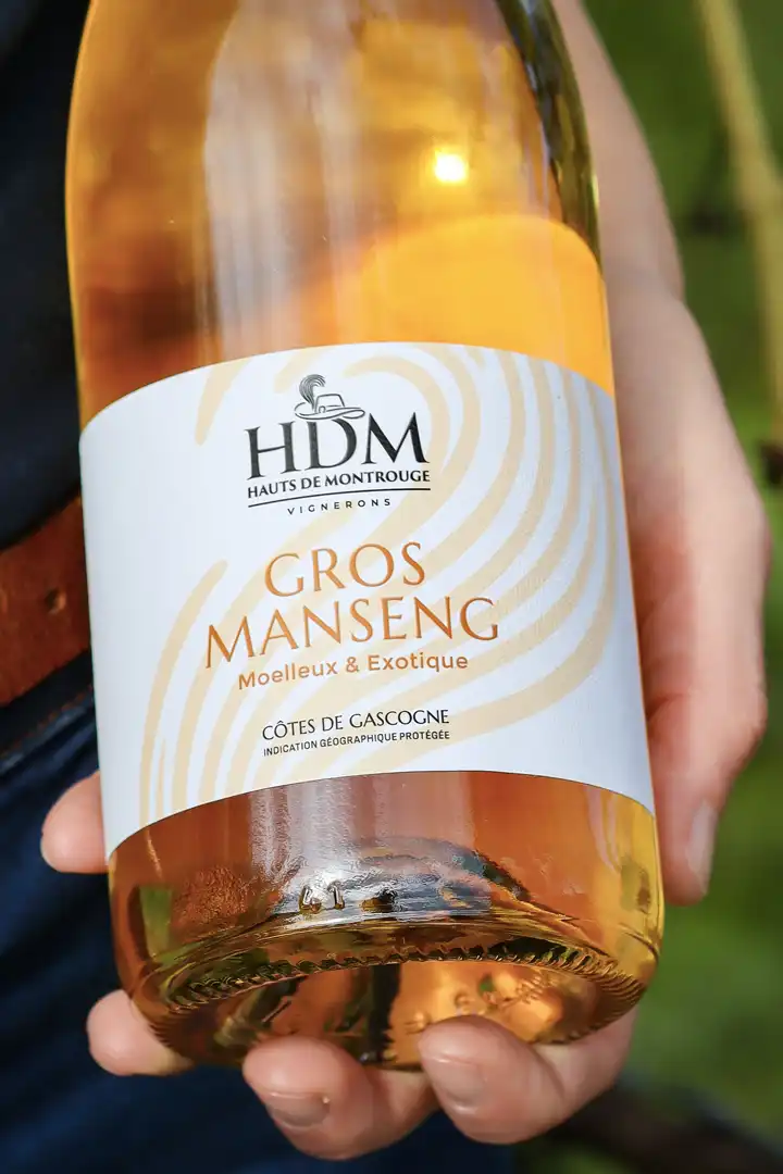 Design du logo de HDM