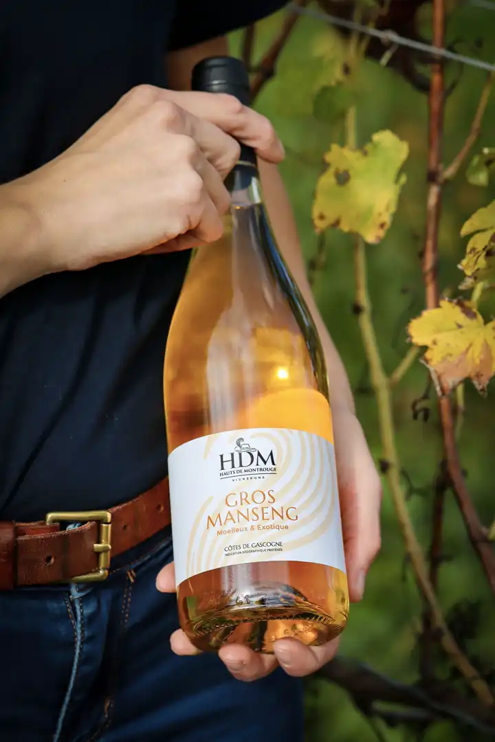 Gros Manseng Hauts de Montrouge